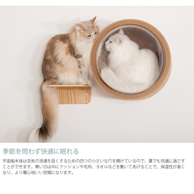 猫 キャットウォーク キャットステップ ベッド ハウス キャットステップ MYZOO マイズー Spaceship Gamma Wood 宇宙船 ガンマ ウッド